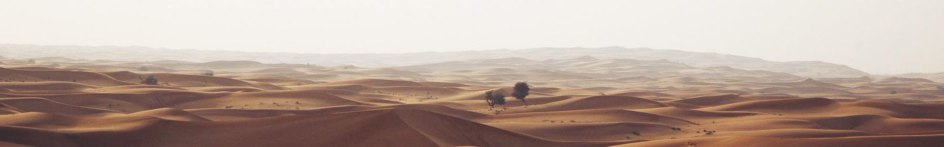 ŵƼ޹˾